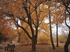 -国家植物园南园