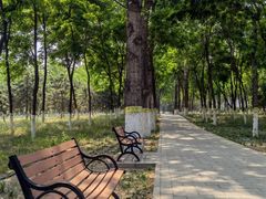 -大兴滨河森林公园