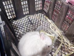 -宝业东城广场(东二环路店)