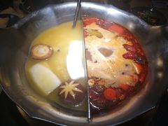 红颜花胶鸡锅-湊湊火锅·茶憩(上海合生汇店)