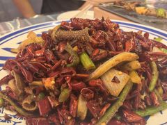 -福苗小骆驼烧烤(莲湖路店)