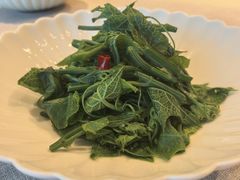 炝拌丝瓜尖-荣轩(新荣记环球金融中心店)