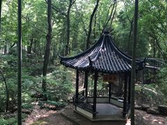 -宝岩生态观光园