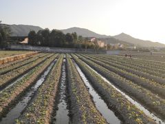 -古田会议纪念馆