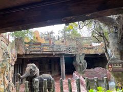 -长鹿旅游休博园