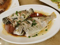 -龙记烤鸭店(新民路店)