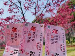 -顾村公园