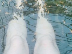-龙达温泉生态城