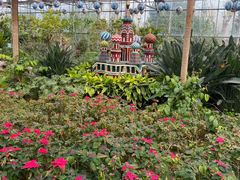 -南宫五洲植物乐园