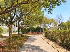 -新江湾城公园