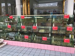 -四海鲜渔家菜(黄金海岸店)