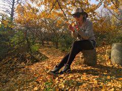 -千年银杏谷文化旅游区