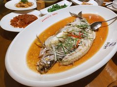 -丹江渔村(望京店)