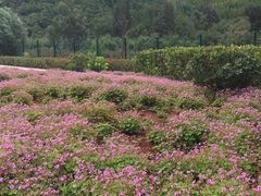 -云南艺术学院(呈贡校区)