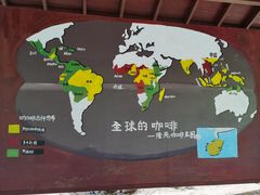 -兴隆隆苑咖啡庄园