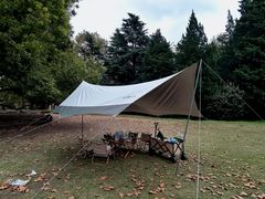 -上海共青森林公园