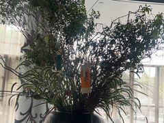-循礼门鲜花花市(武汉循礼门店)
