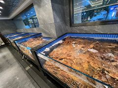 -东海怡品海鲜豆捞(舟宿夜江店)