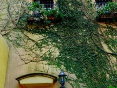 -三鹰之森吉卜力美术馆