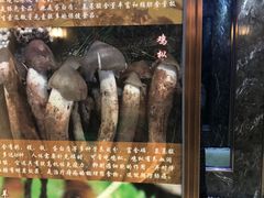 -爱膳菌锅锅(阳南店)