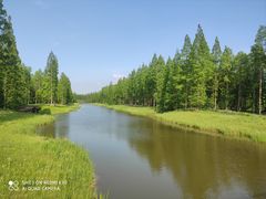 -黄海国家森林公园