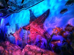 -福州罗源湾海洋世界旅游区