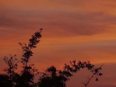 -西双版纳原始森林公园