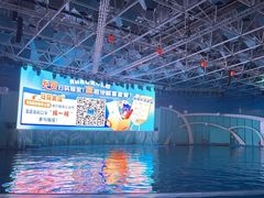 -海合安青岛极地海洋公园
