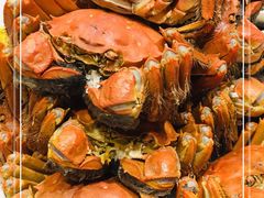 清蒸大闸蟹-王宝和酒家(黄浦店)
