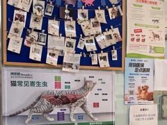 -宠颐生中康贝怡动物医院