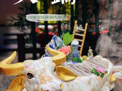 司令毛肚-袍家大院重庆火锅(文安路店)