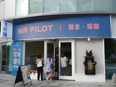 门面-飞行喵MR PILOT|猫舍·猫咖(静安大融城店)