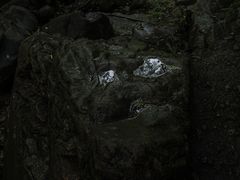 -花岩国家森林公园