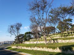-飞凤山奥体公园
