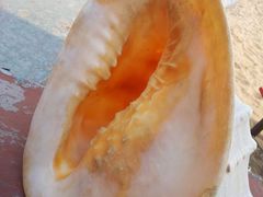 20121025_121745-老味道民宿(栈桥店)