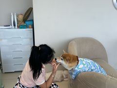 -怪兽屋·羊驼·猫咖·狗咖(俊华广场店)