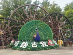 -呀路古热带植物园