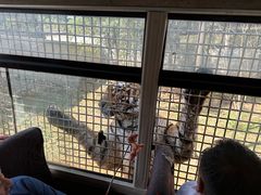 -贵州森林野生动物园