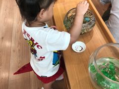 -雀儿音乐花园蒙特梭利托班