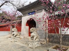 -红螺寺