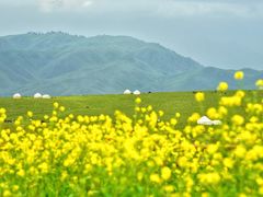 -新疆那拉提国家旅游度假区