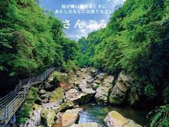 -龙苍沟森林公园