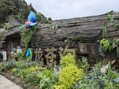 -龙苍沟森林公园