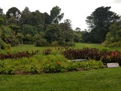 -墨尔本皇家植物园