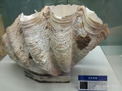 -大连自然博物馆