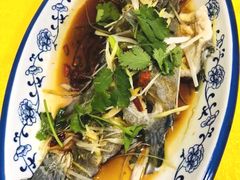 石斑鱼-望海潮海鲜店 特色家常菜(在海一方店)