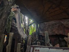 -长鹿旅游休博园