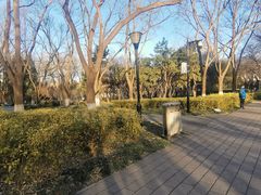 -玲珑塔公园