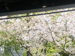 -玛格萝妮比萨屋(四平店)