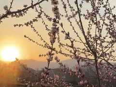 -滨河世纪广场公园